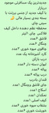 پک مسافرتی کیف برزنتی جدید